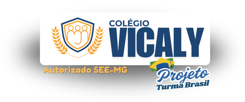 LogoVicaly